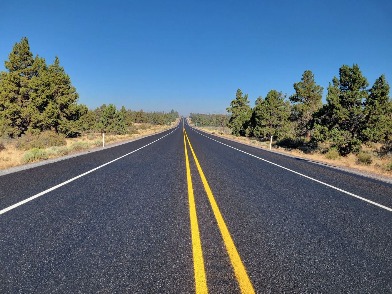 Central Oregon pine forest highway