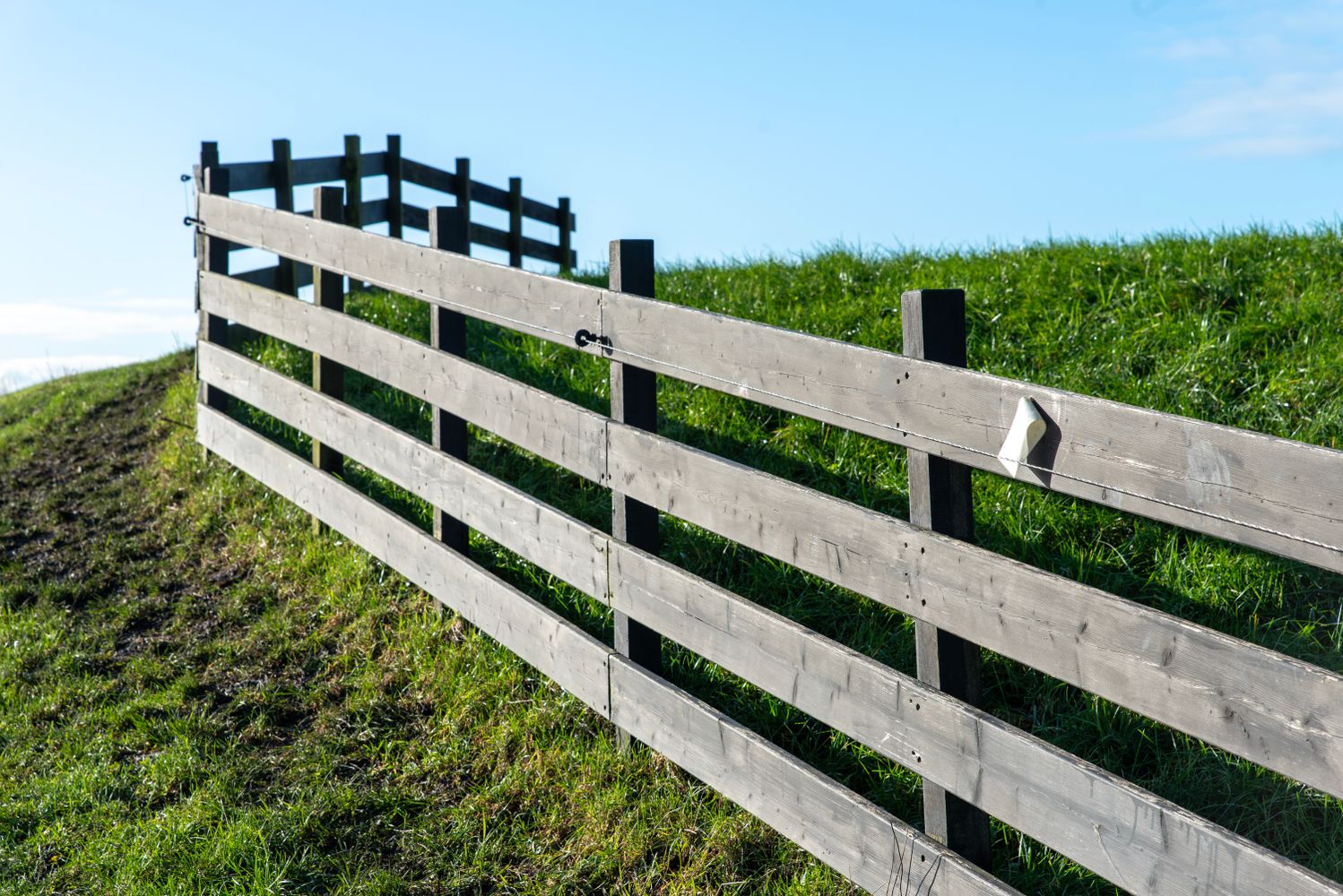 Property fence line